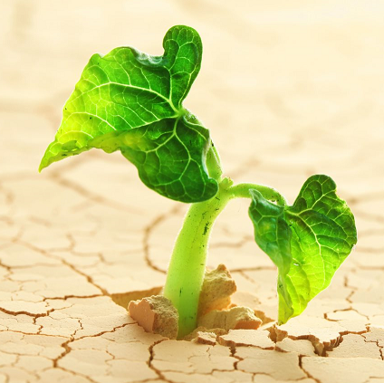 LightSoundSync (Course Project)